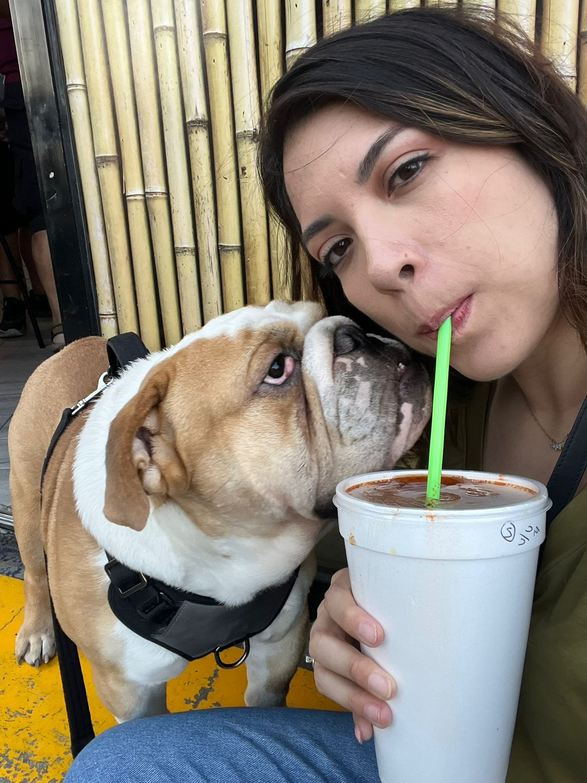 Diana y su perro Potter